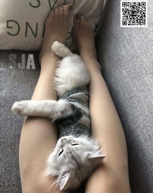 孽债迷情 电影_高清超清免费观看