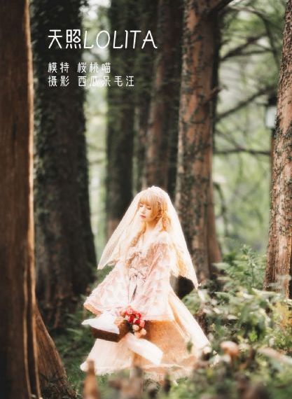 我的中尉先生免费观看第二季_HD电影在线看