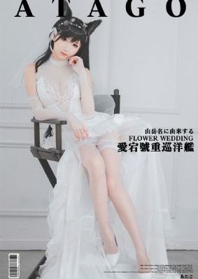 《熊出没·重启未来》在线观看_超清免费观看韩国