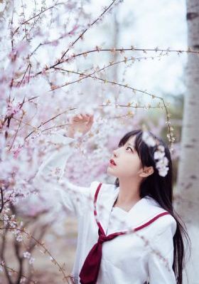 一个完美的结局美国电影_蓝光神马影院在线